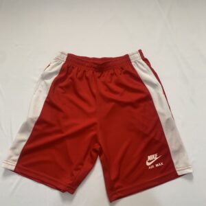 Bermuda Nike - Dry Premium